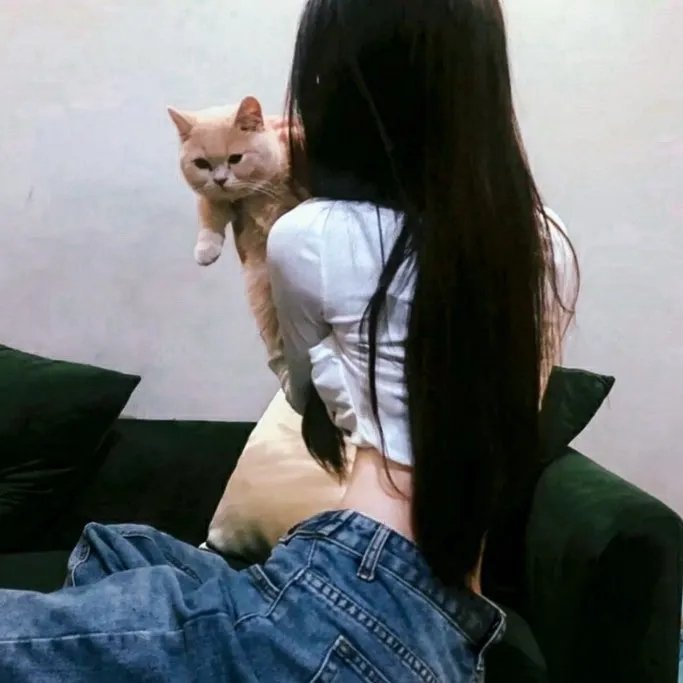 炼情局中局